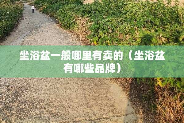 坐浴盆一般哪里有卖的（坐浴盆有哪些品牌）
