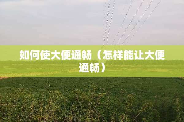 如何使大便通畅（怎样能让大便通畅）