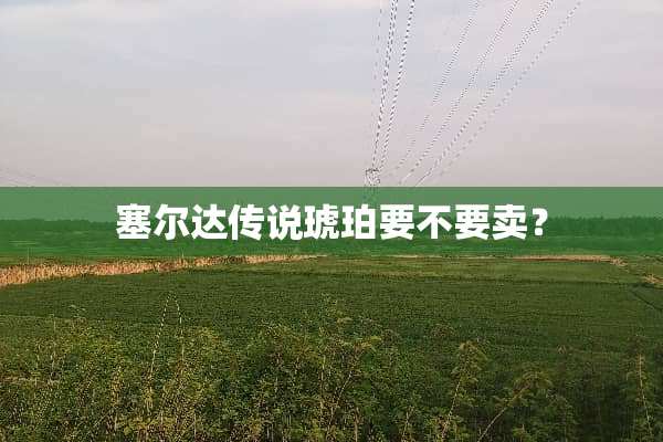 塞尔达传说琥珀要不要卖？