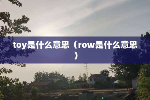 toy是什么意思（row是什么意思）