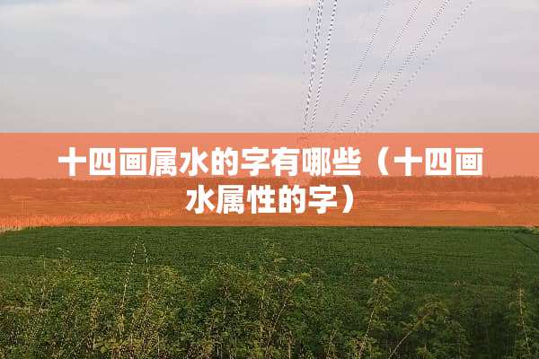 十四画属水的字有哪些（十四画水属性的字）