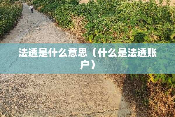 法透是什么意思（什么是法透账户）
