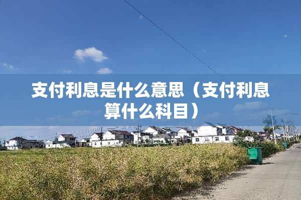 支付利息是什么意思（支付利息算什么科目）
