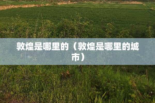 敦煌是哪里的（敦煌是哪里的城市）