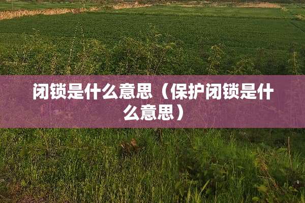 闭锁是什么意思（保护闭锁是什么意思）