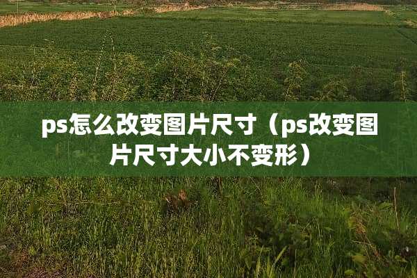 ps怎么改变图片尺寸（ps改变图片尺寸大小不变形）