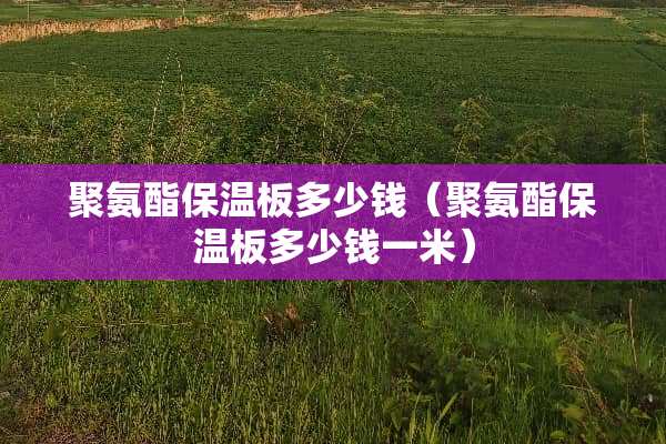 聚氨酯保温板多少钱（聚氨酯保温板多少钱一米）