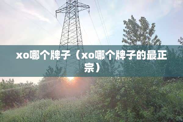 xo哪个牌子（xo哪个牌子的最正宗）
