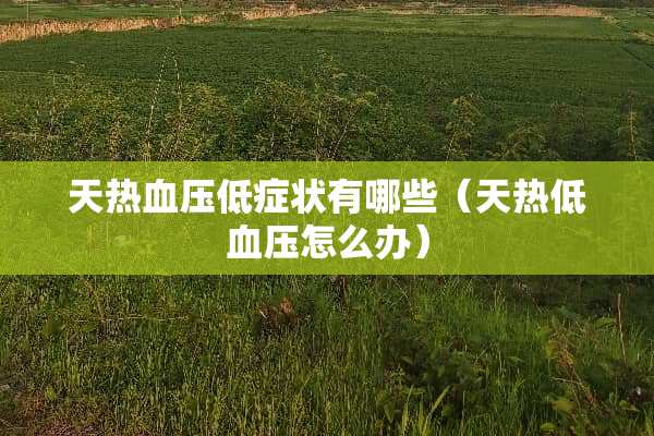 天热血压低症状有哪些（天热低血压怎么办）