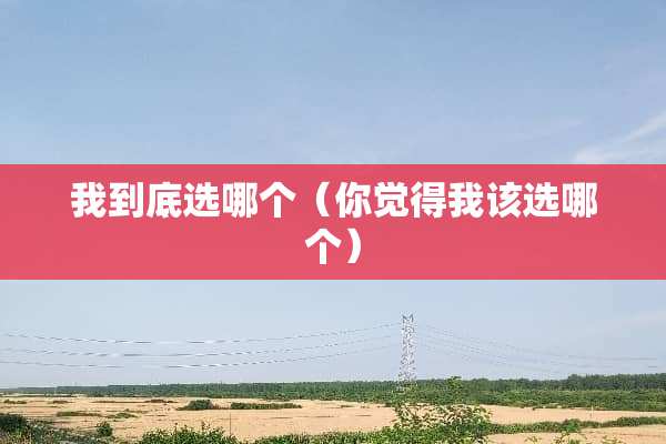 我到底选哪个（你觉得我该选哪个）