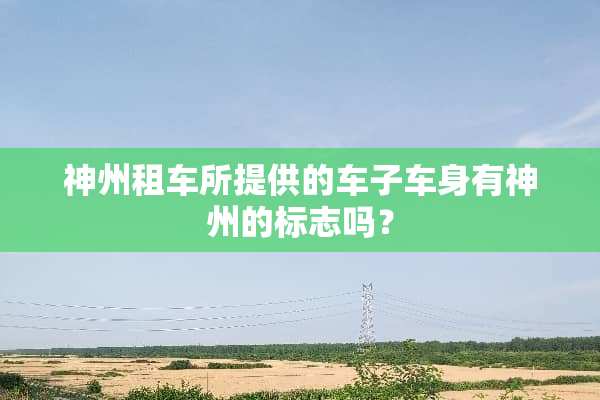 神州租车所提供的车子车身有神州的标志吗？