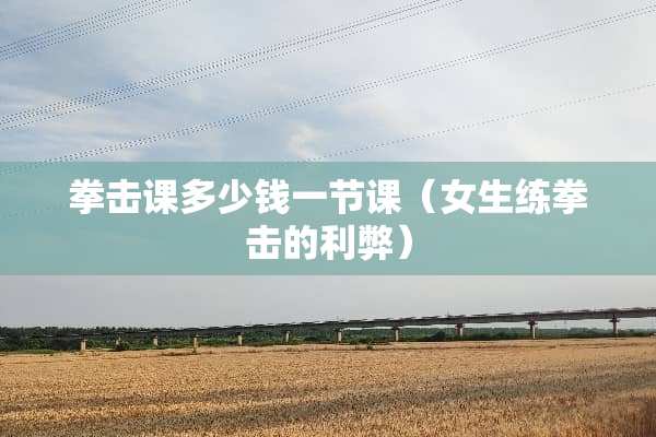 拳击课多少钱一节课（女生练拳击的利弊）
