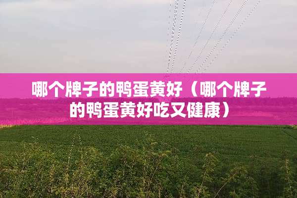 哪个牌子的鸭蛋黄好（哪个牌子的鸭蛋黄好吃又健康）