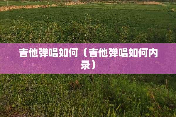 吉他弹唱如何（吉他弹唱如何内录）