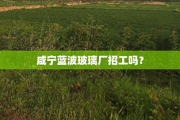 咸宁蓝波玻璃厂招工吗？