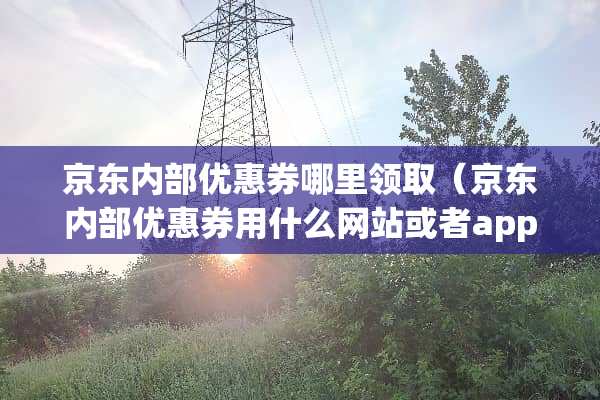 京东内部优惠券哪里领取（京东内部优惠券用什么网站或者app领的）