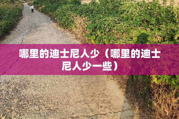 哪里的迪士尼人少（哪里的迪士尼人少一些）