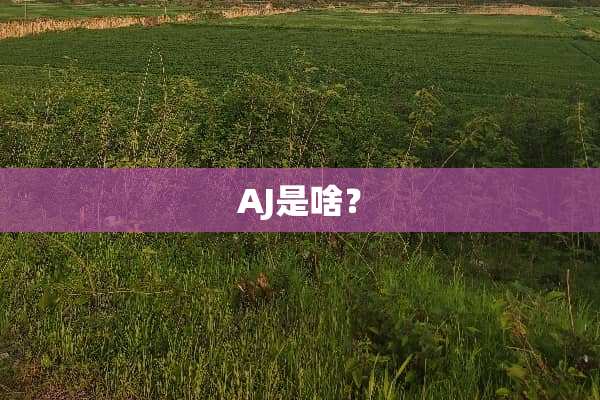 AJ是啥？