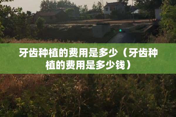 牙齿种植的费用是多少（牙齿种植的费用是多少钱）