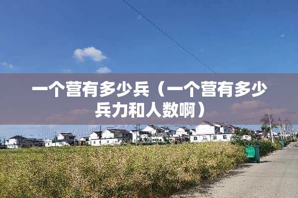 一个营有多少兵（一个营有多少兵力和人数啊）