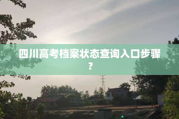 四川高考档案状态查询入口步骤？