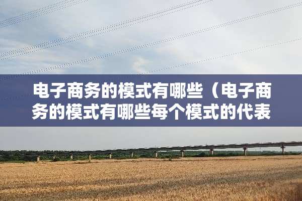 电子商务的模式有哪些（电子商务的模式有哪些每个模式的代表企业有?）