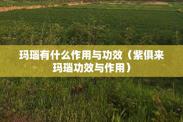 玛瑙有什么作用与功效（紫俱来玛瑙功效与作用）