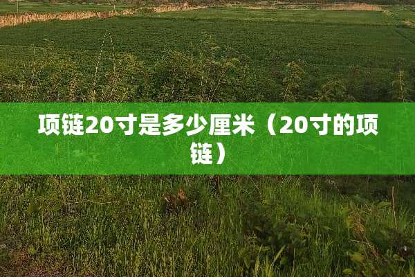 项链20寸是多少厘米（20寸的项链）