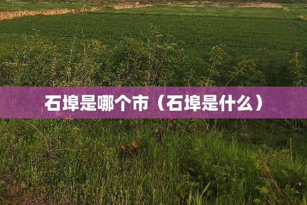 石埠是哪个市（石埠是什么）