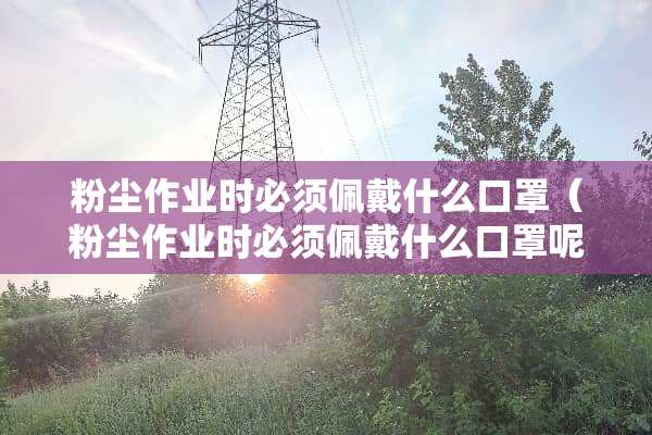 粉尘作业时必须佩戴什么口罩（粉尘作业时必须佩戴什么口罩呢）