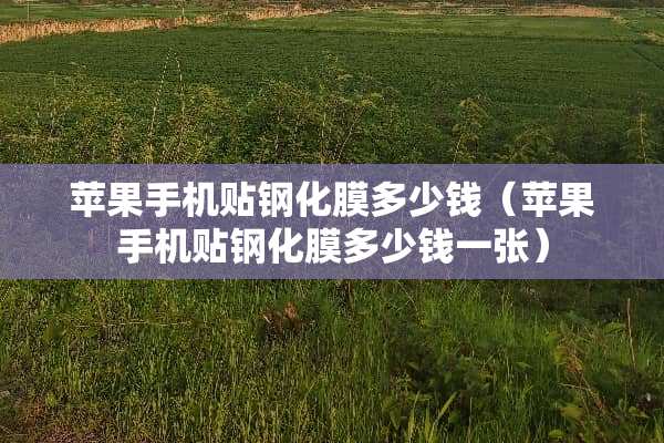 苹果手机贴钢化膜多少钱（苹果手机贴钢化膜多少钱一张）