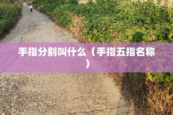手指分别叫什么（手指五指名称）