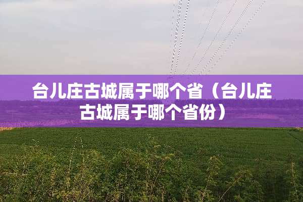 台儿庄古城属于哪个省（台儿庄古城属于哪个省份）