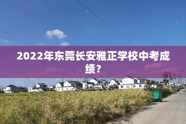 2022年东莞长安雅正学校中考成绩？