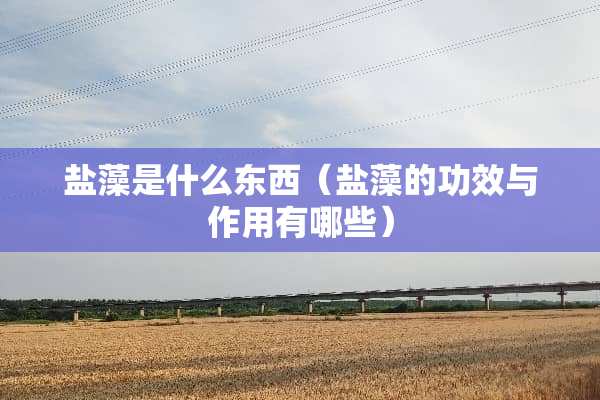 盐藻是什么东西（盐藻的功效与作用有哪些）