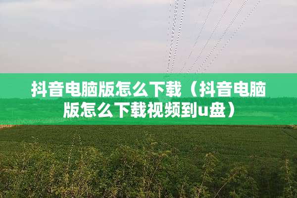 抖音电脑版怎么下载（抖音电脑版怎么下载视频到u盘）