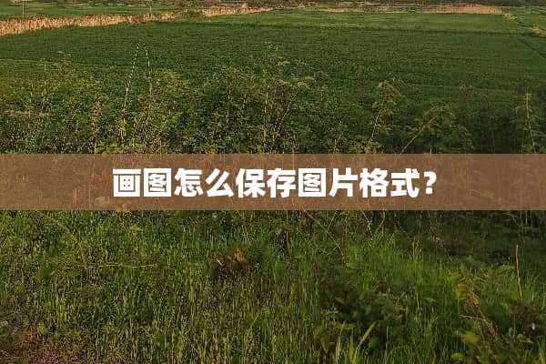 画图怎么保存图片格式？