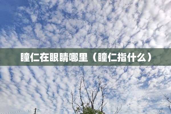 瞳仁在眼睛哪里（瞳仁指什么）