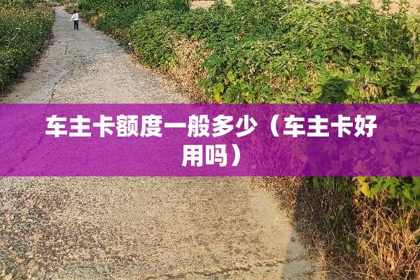 车主卡额度一般多少（车主卡好用吗）