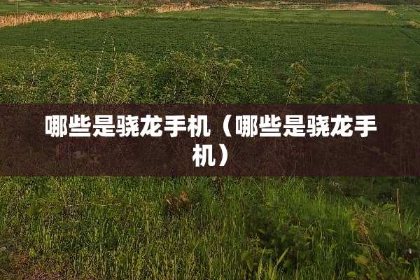 哪些是骁龙手机（哪些是骁龙手机）