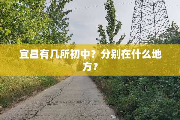 宜昌有几所初中？分别在什么地方？