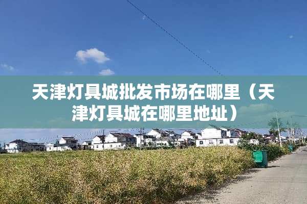 天津灯具城批发市场在哪里（天津灯具城在哪里地址）