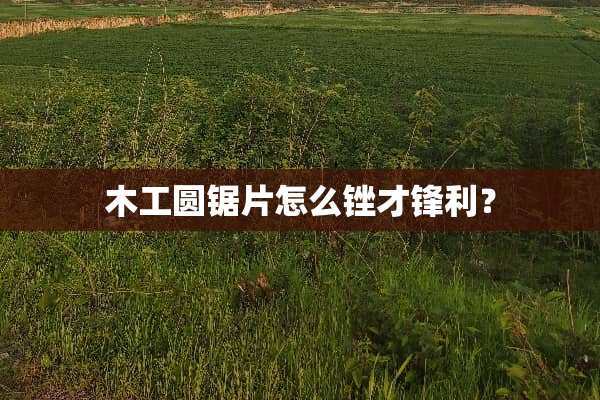 木工圆锯片怎么锉才锋利？