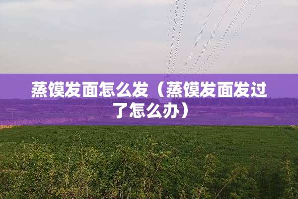 蒸馍发面怎么发（蒸馍发面发过了怎么办）