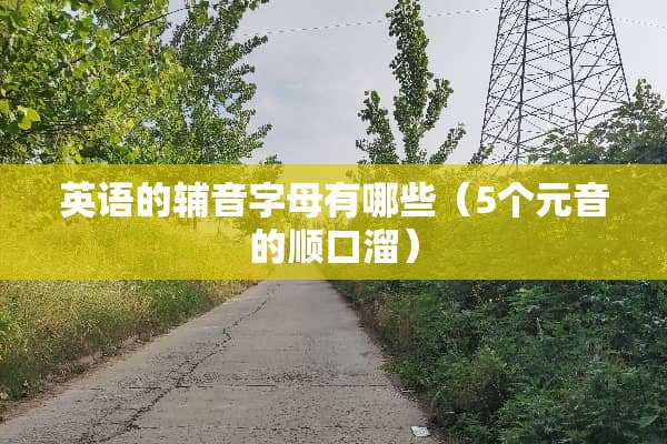 英语的辅音字母有哪些（5个元音的顺口溜）