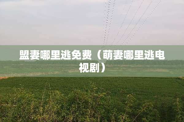 盟妻哪里逃免费（萌妻哪里逃电视剧）