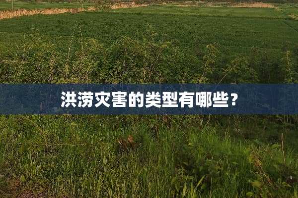 洪涝灾害的类型有哪些？