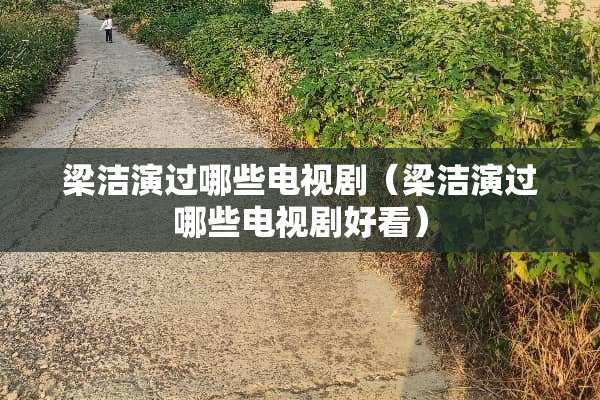 梁洁演过哪些电视剧（梁洁演过哪些电视剧好看）
