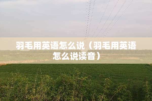 羽毛用英语怎么说（羽毛用英语怎么说读音）