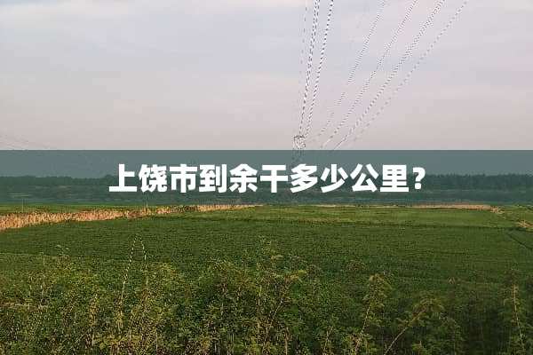 上饶市到余干多少公里？